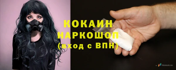 PSILOCYBIN Богородицк